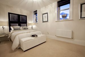 chevin plot 252 showhome 24 sm.jpg